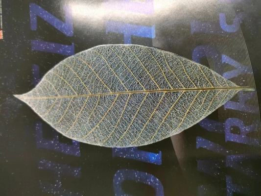590x760 ডিজিটাল ইউভি স্পট লেক লেপ এবং ফয়েল মেশিন